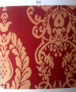 12447561 850639631730653 53462925 n