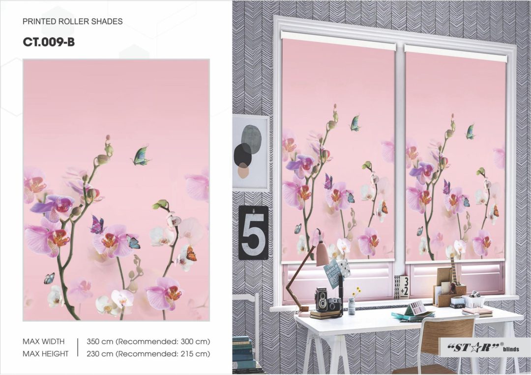 RÈM CUỐN SKK IN TRANH - Hình ảnh 31