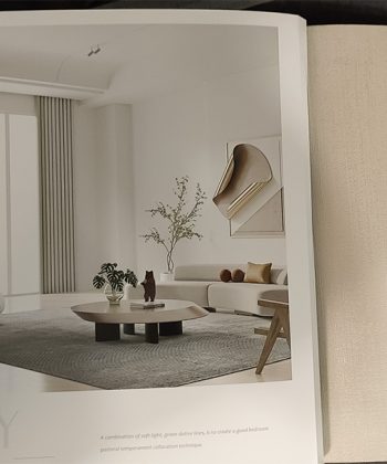 VẢI MM & AGL 63 1 MÀU HỌA TIẾT NỔI 43 MM AGL A631 3