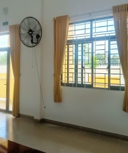 rem hoi truong 08