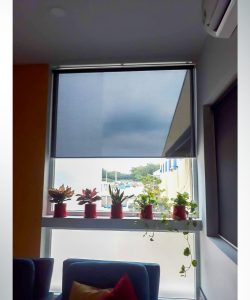 rem cuon luoi o long thanh 4