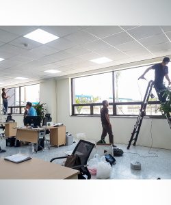 rem la o long thanh 1