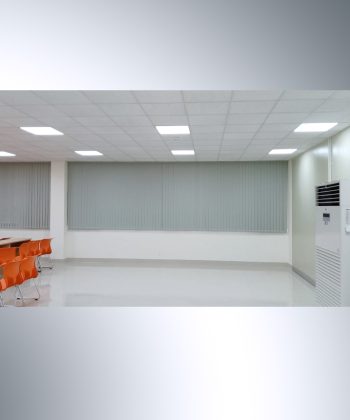 rem la o long thanh 11 2