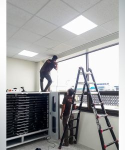 rem la o long thanh 11