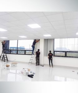 rem la o long thanh 12