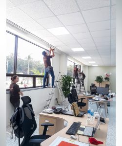 rem la o long thanh 14