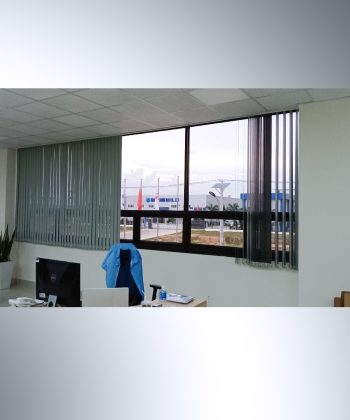 rem la o long thanh 6 2