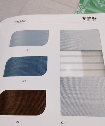 kalmia h